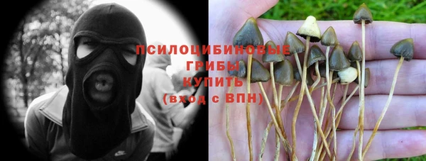 ПСИЛОЦИБИНОВЫЕ ГРИБЫ Бугульма