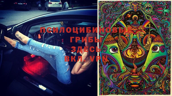 дурь Осташков