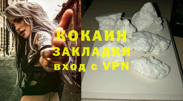 дмт Осинники